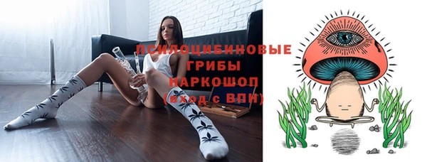 PSILOCYBIN Осинники