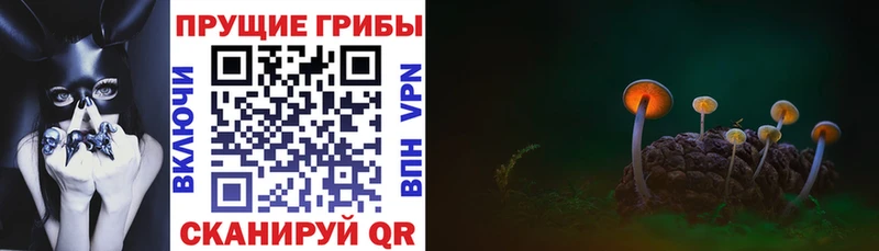 Псилоцибиновые грибы Magic Shrooms  Кореновск 