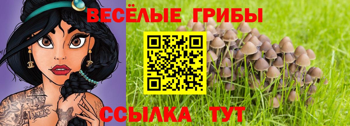 Псилоцибиновые грибы GOLDEN TEACHER  Вход с VPN  закладка  Кореновск 